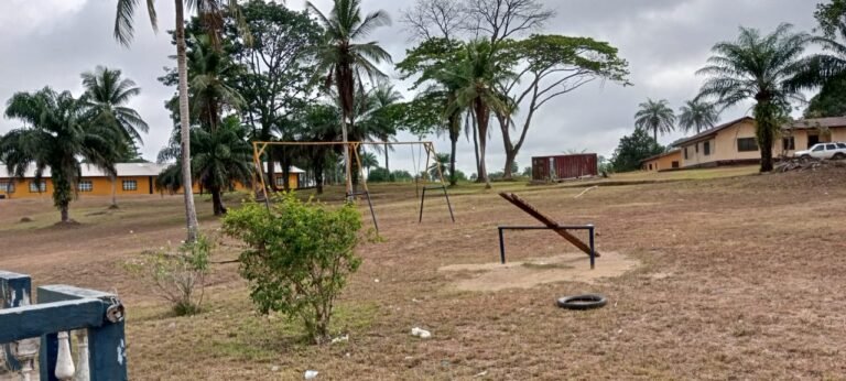 Camphor Mission